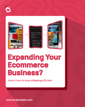Expanding Your Ecommerce Business? Here’s How to Keep Shipping Efficient